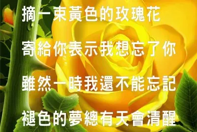 åŠ‰æ–‡æ­£ é»ƒè‰²çš„çŽ«ç‘°