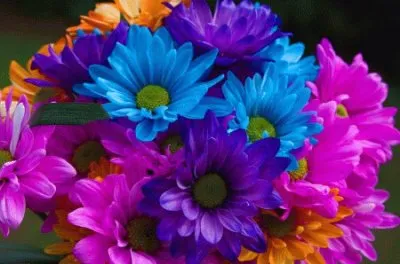 פאזל של flores de colores