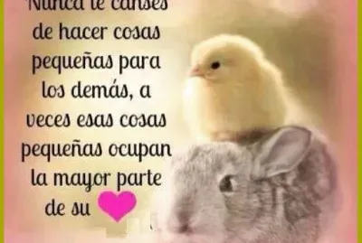 פאזל של frase alentadora