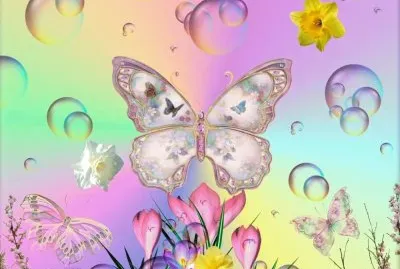 mariposa
