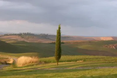 Toscane terre de Sienne Italie