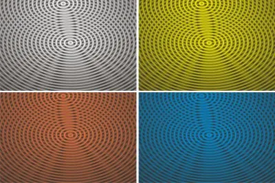 èœ˜è››ç¶² jigsaw puzzle