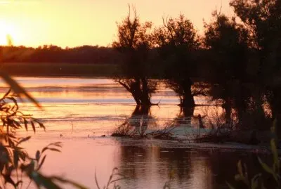 delta du Danube Roumanie