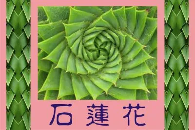 åœ–æ–‡ç·¨è¼¯ jigsaw puzzle