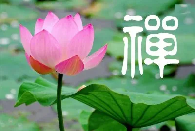 èŠ±èˆ‡é¡Œå­—