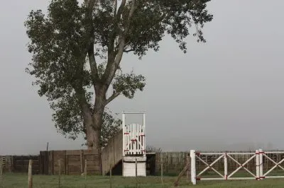 Cuentaganado jigsaw puzzle