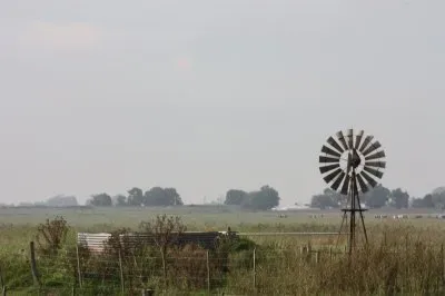 Molino jigsaw puzzle