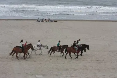 cabalgata jigsaw puzzle