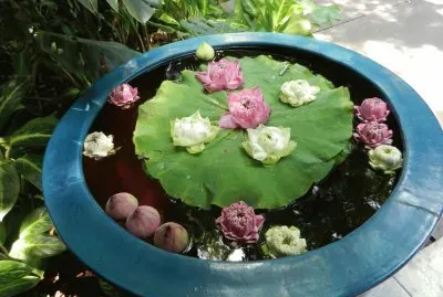 plat de fleurs jigsaw puzzle