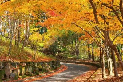 imagem jigsaw puzzle
