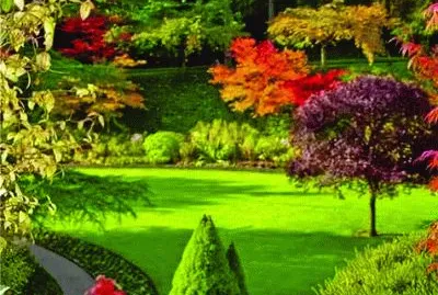 14 jigsaw puzzle
