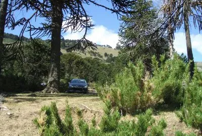 paisaje jigsaw puzzle