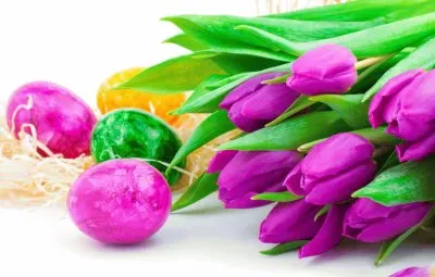 èŠ±æ¼¾ jigsaw puzzle