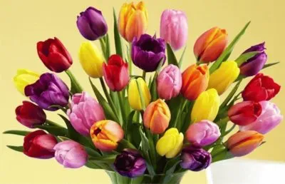 פאזל של èŠ±æ¼¾