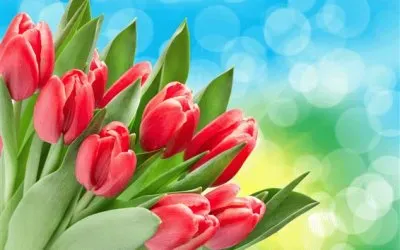 èŠ±æ¼¾ jigsaw puzzle