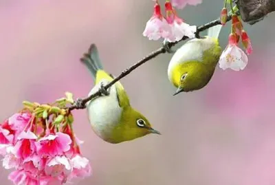 imagem jigsaw puzzle