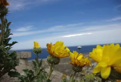 puerto madryn argentina