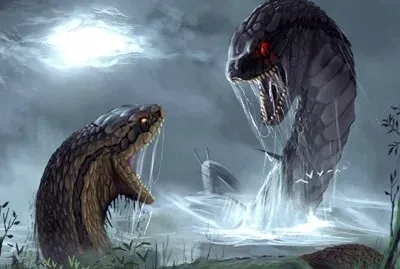 ten ten vilu y cai cai vilu