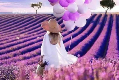 imagem jigsaw puzzle