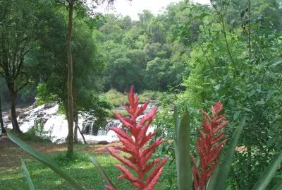 misiones argentina