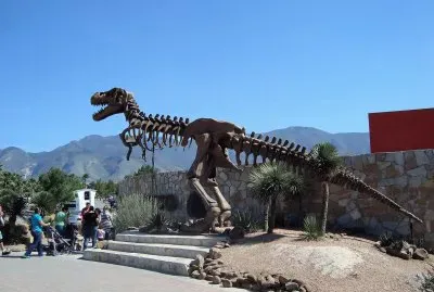 FÃ³sil de dinosaurio, Museo del Desierto, Saltillo.