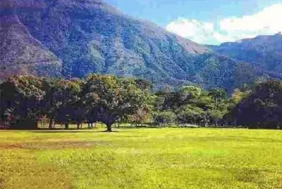 Cerro El Ãvila, Caracas, Venezuela