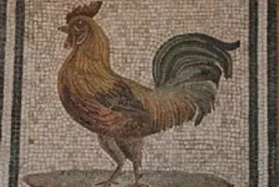 GALLO ROMANO jigsaw puzzle