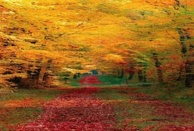 imagem jigsaw puzzle