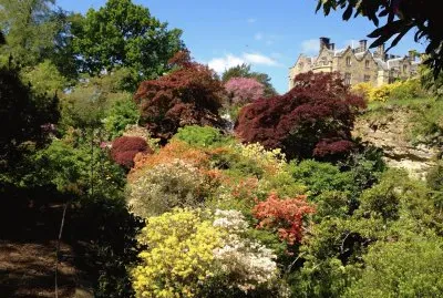 פאזל של Scotney Castle Angleterre