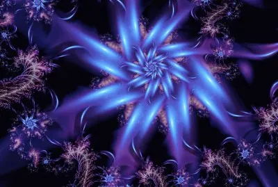 fleur fÃ©Ã©rique