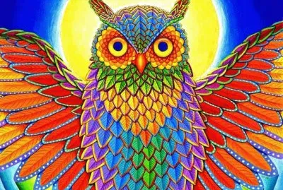 Rainbow Owl