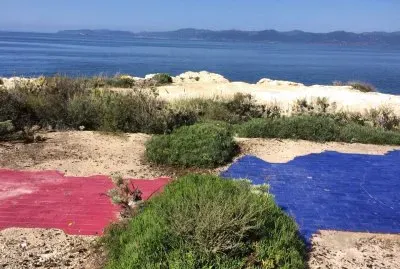 cagliari