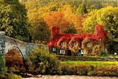 imagem jigsaw puzzle