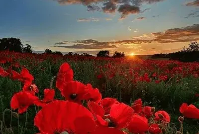 imagem jigsaw puzzle