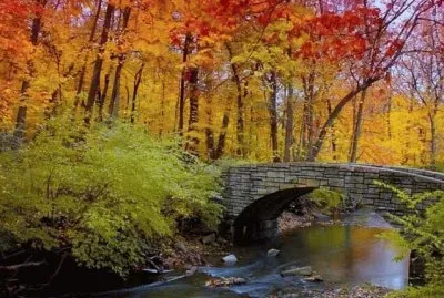 imagem jigsaw puzzle