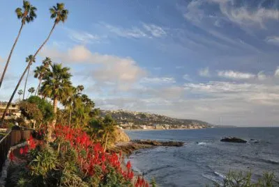 NATUREZA jigsaw puzzle