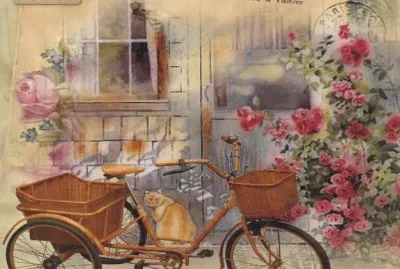 Bicycles with flowers