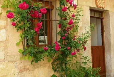 פאזל של imagem