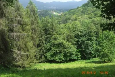 FAVARO