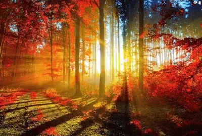 autumn-189 jigsaw puzzle