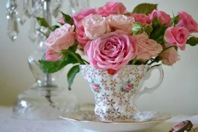 פאזל של flores