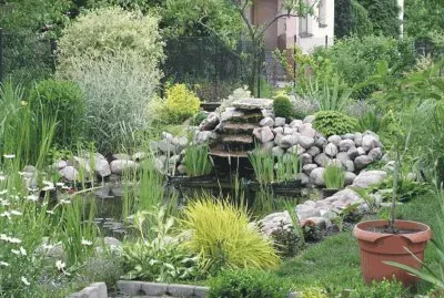 garden with lake