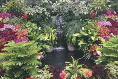 garden with lake