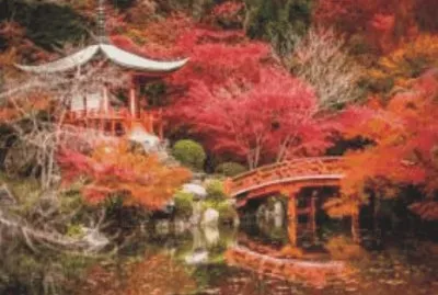 garden with bridge