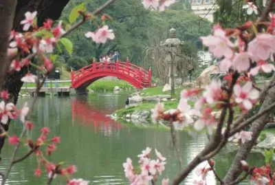 bridge on the lake