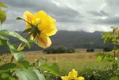 san luis argentina