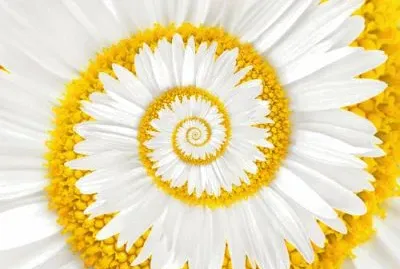 interessante jigsaw puzzle