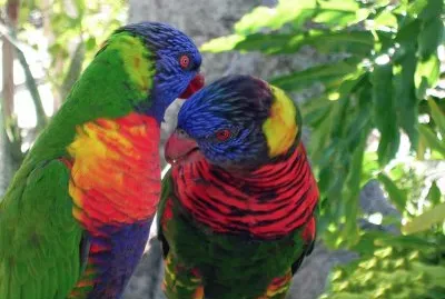 natureza jigsaw puzzle