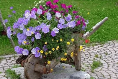 flores jigsaw puzzle