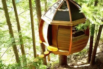 natureza jigsaw puzzle